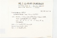 銳葉牽牛藏品圖，第2張