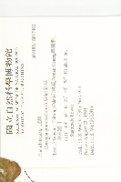 紅瓜藏品圖，第2張