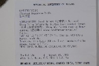 呂宋莢迷藏品圖，第2張