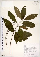 水金京藏品圖，第1張