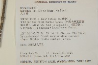 大丁黃藏品圖，第2張