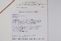 裂葉秋海棠藏品圖，第4張