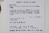 水鴨腳藏品圖，第2張