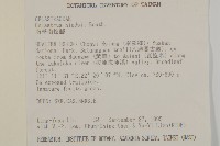 南華南蛇藤，青江藤藏品圖，第2張