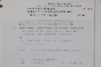 倒卵葉冬青、金平氏冬青藏品圖，第2張