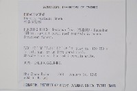 恆春厚殼樹藏品圖，第2張