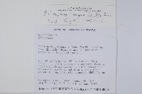 粗穗蛇菰藏品圖，第2張