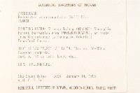 飛機草藏品圖，第2張