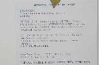 細梗絡石藏品圖，第2張