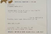 中南蒿藏品圖，第2張