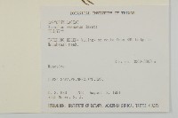 玉山石竹藏品圖，第2張