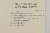 裂葉艾納香藏品圖，第2張