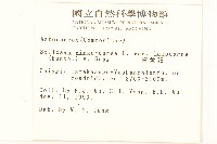 冷清草藏品圖，第2張