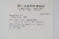 青葙藏品圖，第2張