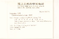 一枝香藏品圖，第2張