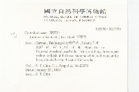 野牽牛藏品圖，第2張