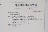 落葵藏品圖，第2張