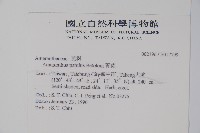 青莧藏品圖，第2張