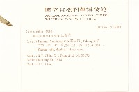 山萵苣藏品圖，第2張