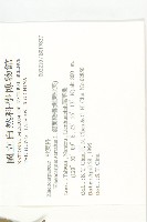 錫蘭橄欖、鋸葉杜英藏品圖，第2張