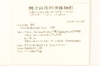 一枝香藏品圖，第2張