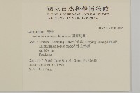 臺灣馬蘭藏品圖，第2張