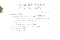 臺灣青木香藏品圖，第2張