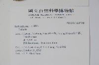 臺灣小蘗藏品圖，第2張