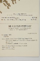 登錄號:S017889藏品圖，第2張