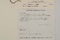 玉山抱莖籟簫藏品圖，第2張