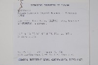 水鴨腳藏品圖，第2張