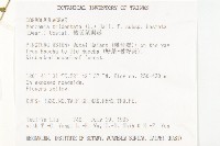 戟葉菜欒藤藏品圖，第2張