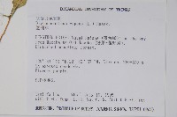 蘆利草藏品圖，第2張