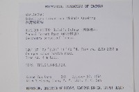 臺灣鵝掌柴藏品圖，第2張