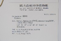 通天蓮藏品圖，第2張