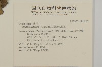 裂葉艾納香藏品圖，第2張