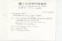 大萼旋花藏品圖，第2張