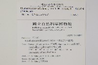 三葉五加藏品圖，第2張