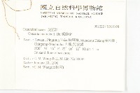 菟絲子藏品圖，第2張