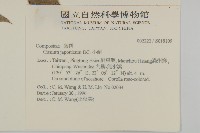 小薊藏品圖，第2張