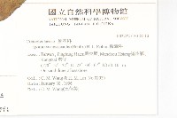 樹牽牛藏品圖，第2張