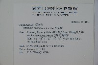 珊瑚樹藏品圖，第2張
