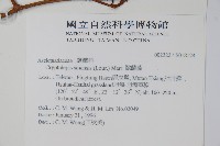 隱鱗藤藏品圖，第2張