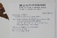 蘿芙木藏品圖，第2張