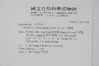 小錦蘭藏品圖，第2張