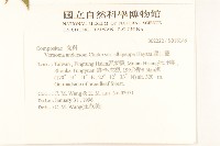 過山龍藏品圖，第2張