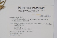 錦繡莧藏品圖，第2張