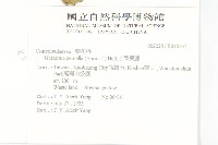 菜欒藤藏品圖，第2張