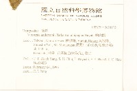 過山龍藏品圖，第2張