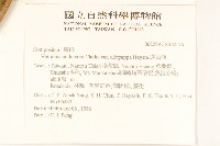 過山龍藏品圖，第2張
